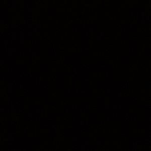 Meet your Posher, Lynn